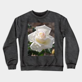 Soft White Rose Bloom Crewneck Sweatshirt